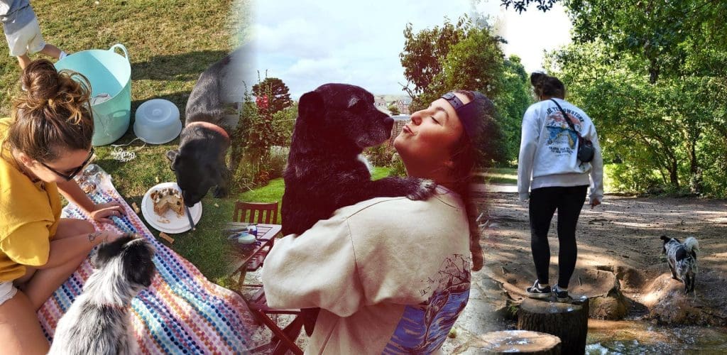 Nancy McManus Dog Walking website by Expect Best